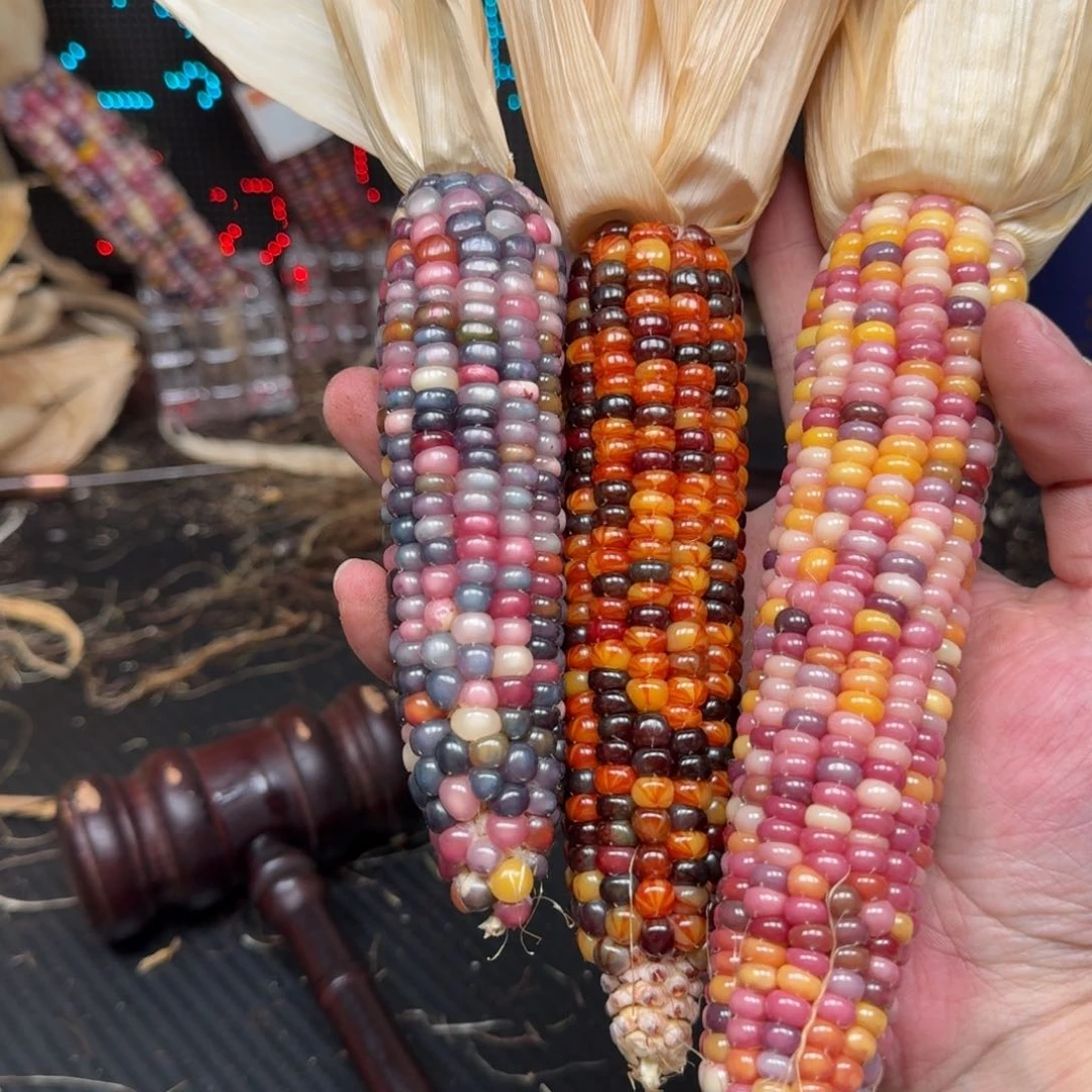 柏香籽/百香籽吊坠M*生