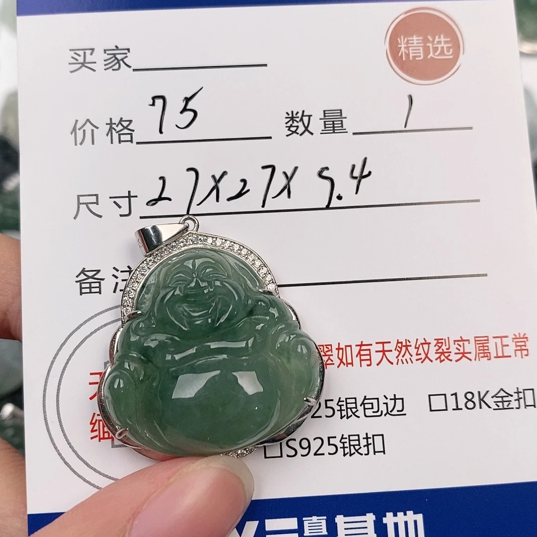 翡翠银S925镶嵌颈饰