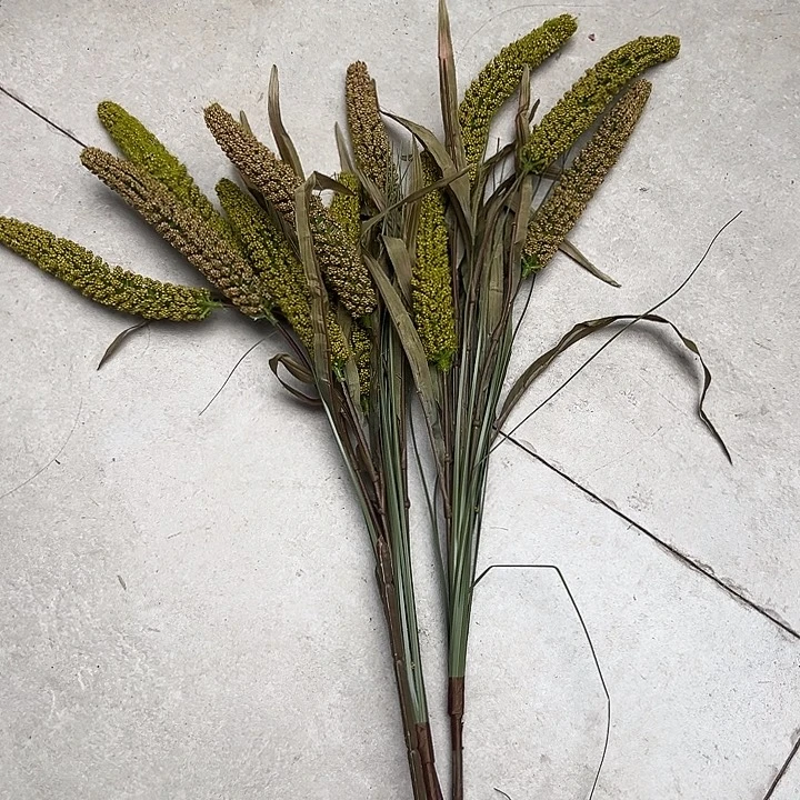 拍品大福利大福利大福利