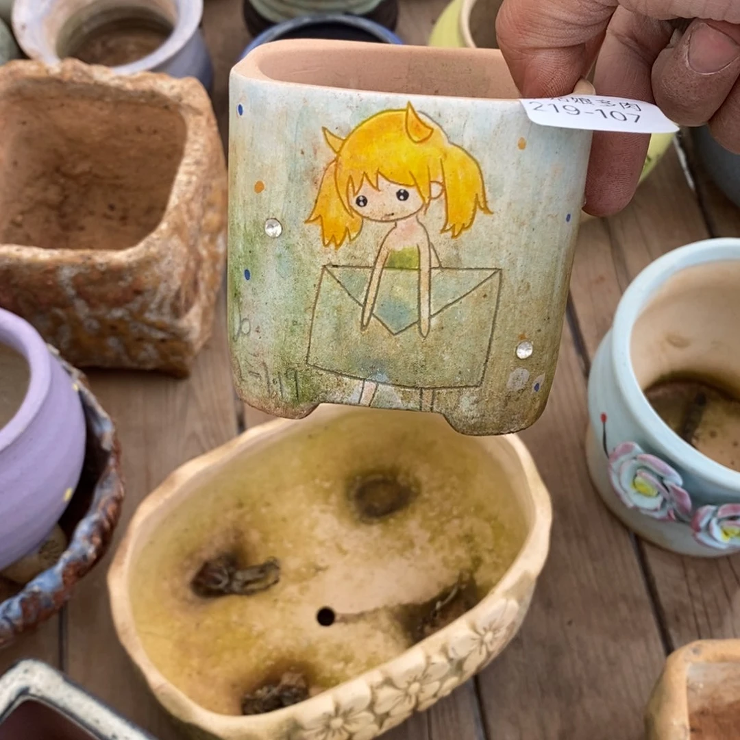 红陶谁****钱107号多肉盆一个呀