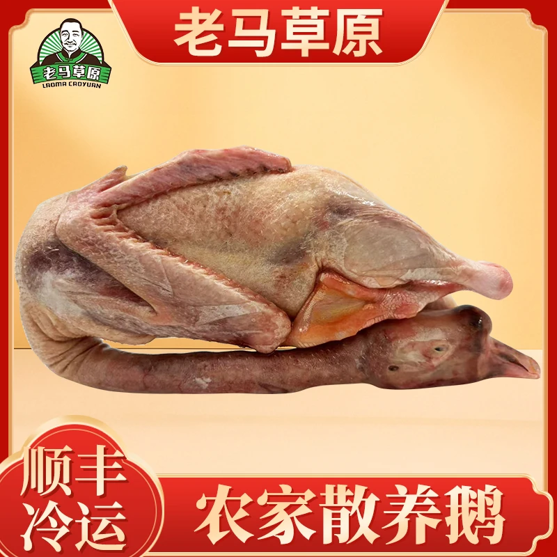 老马草原农家散养鹅 生鲜食品 整只去内脏