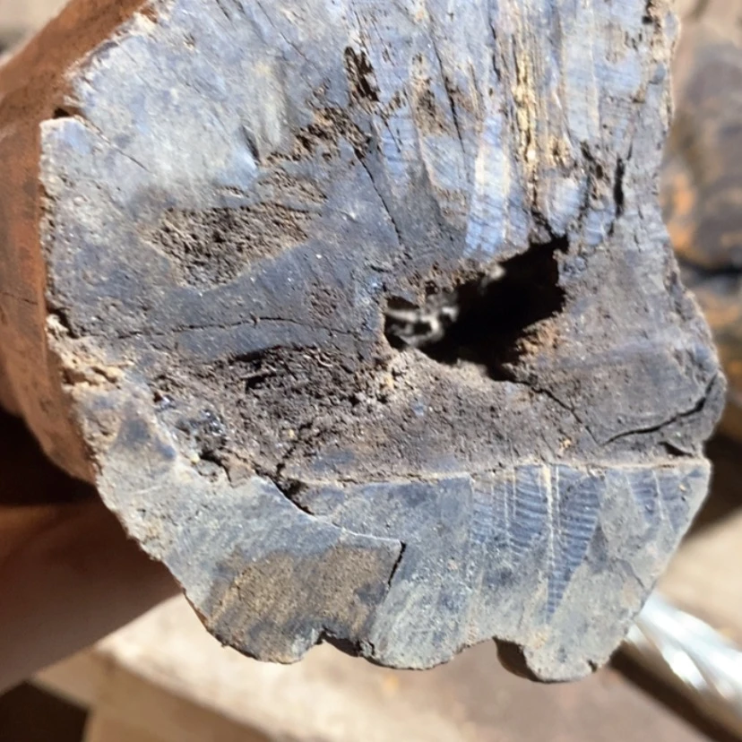 【闪购商品】把件贡木钟****甲私人定制