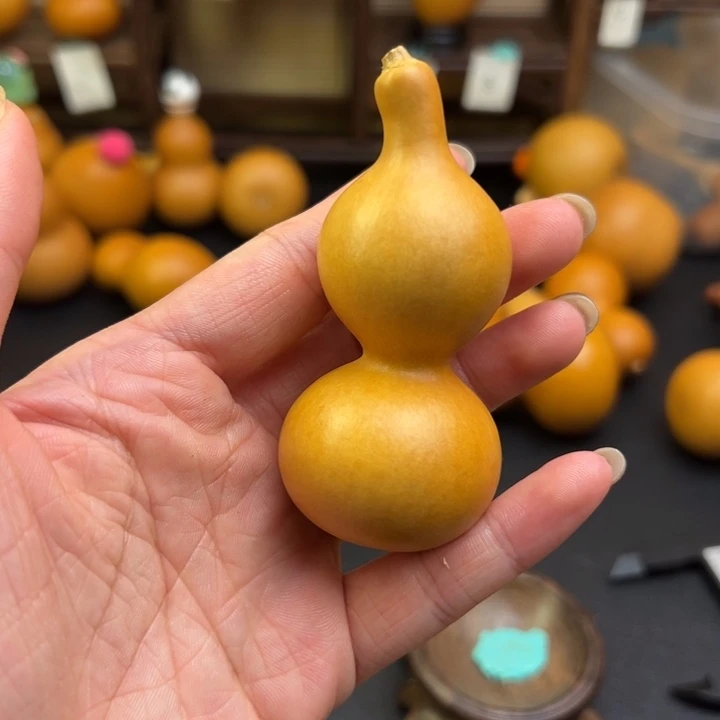 春***青葫芦葫芦葫芦葫芦葫芦