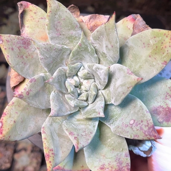 1388哈哈哈哈哈哈哈哈