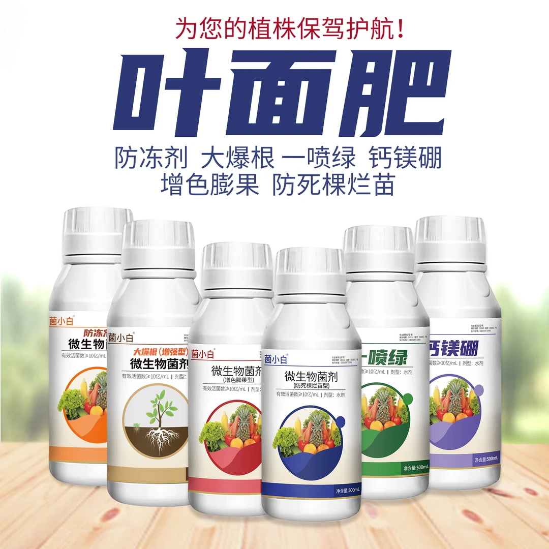 菌小白系列微生物菌剂叶面肥专用