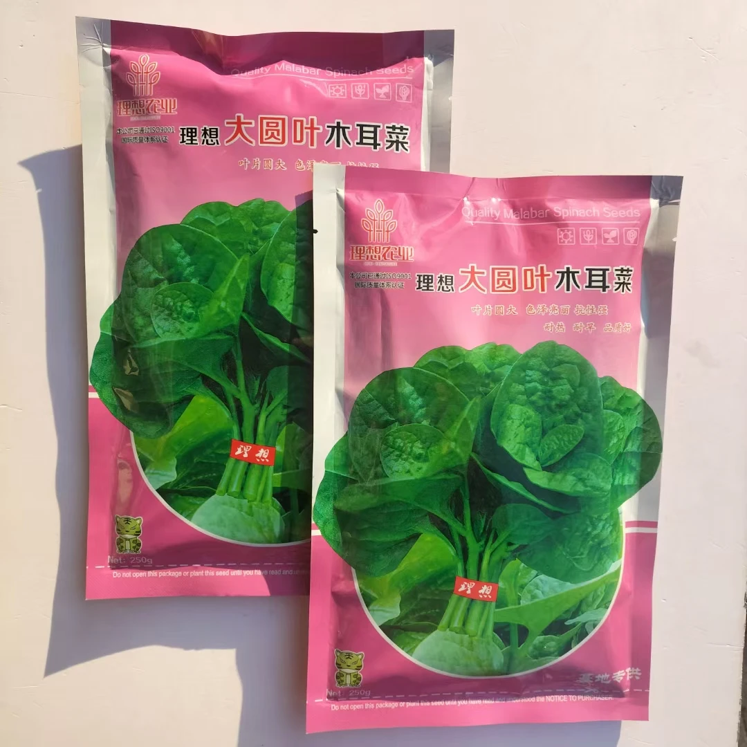 大叶木耳菜种籽耐热耐湿口感滑嫩好吃叶菜种籽农家蔬菜大田种植