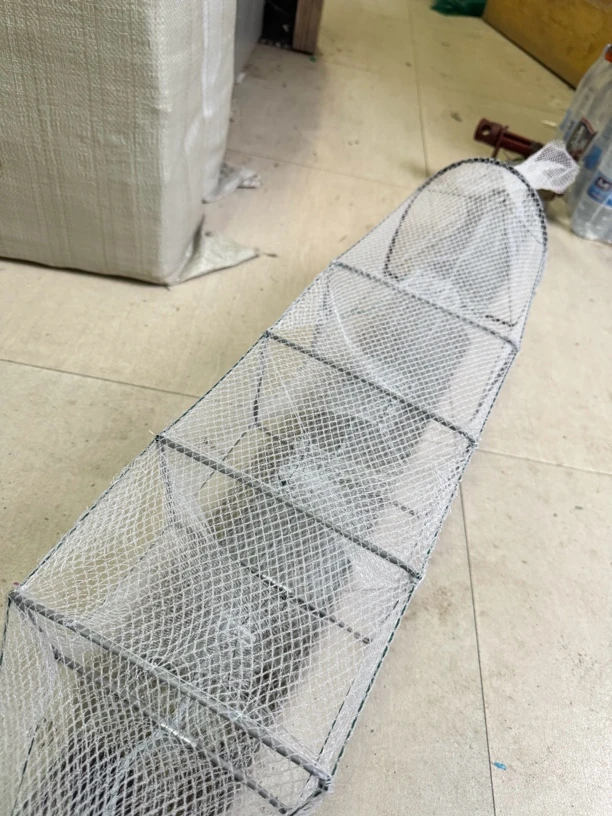 白色无节小三门压膜须拍一发10黄鳝笼泥鳅网送地插饵料球