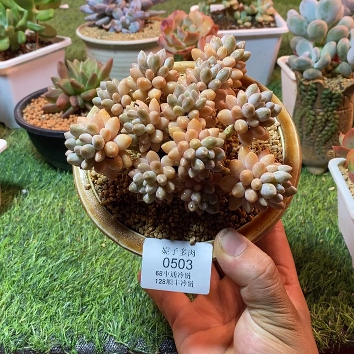 0503啊啊啊啊啊啊啊啊