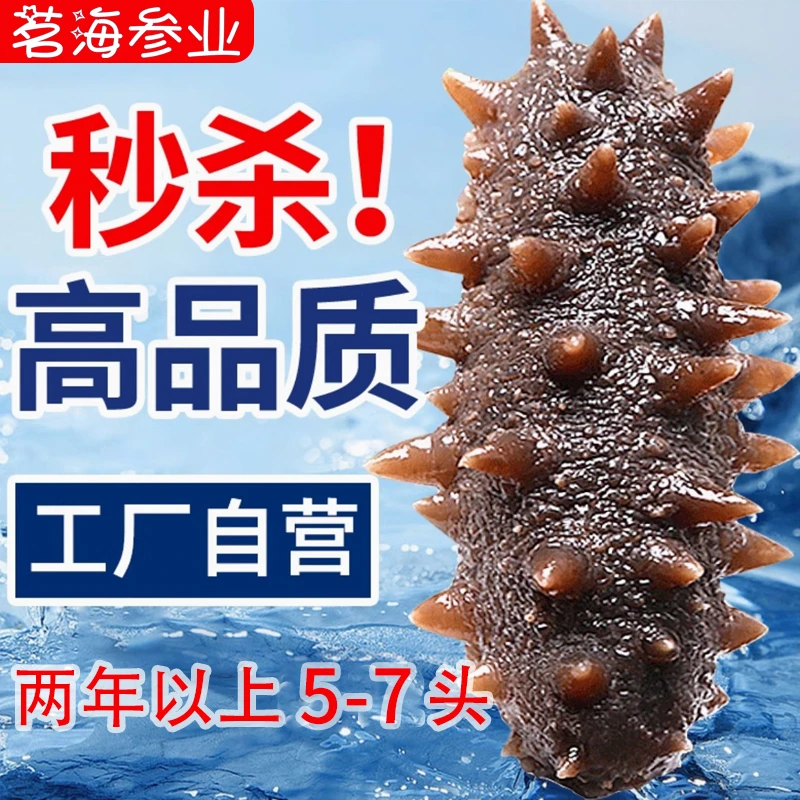 茗海【两年以上5-7头】开袋即食海参大连辽参×2斤顺丰冷链包邮