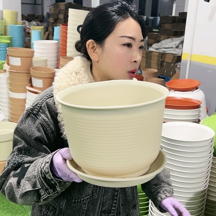 正品矮陶口23.6高17.5米色6只带托