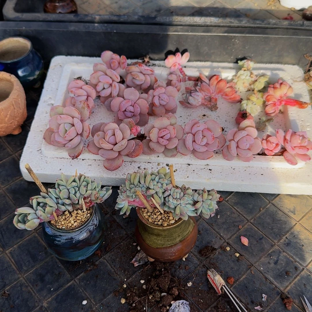 x**i哈哈哈哈哈哈哈哈哈哈哈哈哈