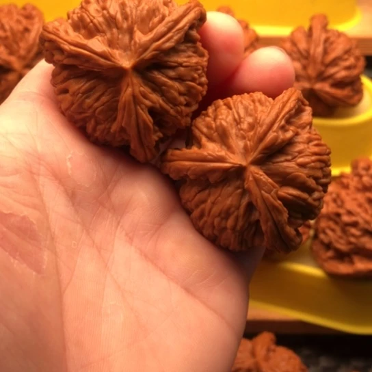 核桃核桃核桃核桃