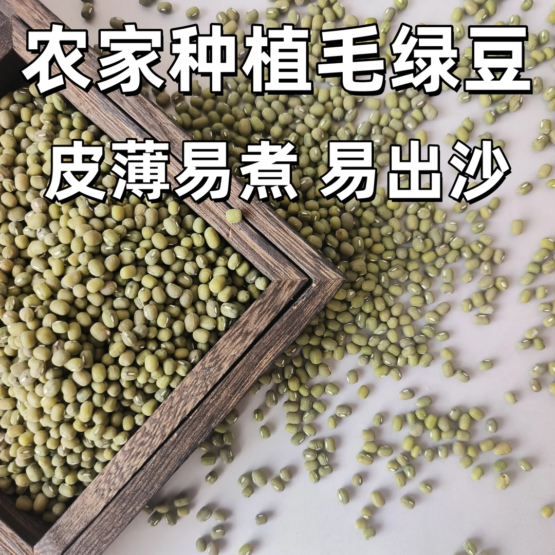 【25年新绿豆】精选农家绿豆天然健康粗粮毛绿豆绿豆汤夏季糖水当季