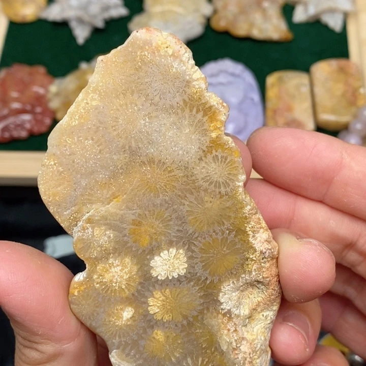 硅化珊瑚（珊瑚玉）手镯未镶嵌