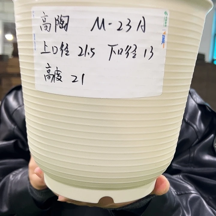 正品高陶口21高21米色6个无托