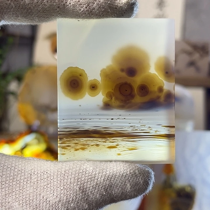 落花流水画面风景