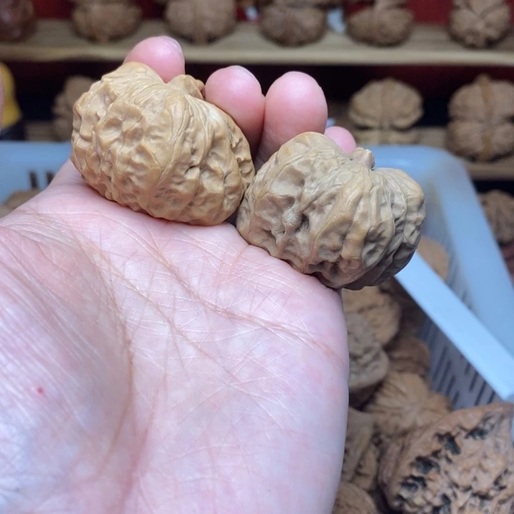 明***会文玩核桃把件尺寸