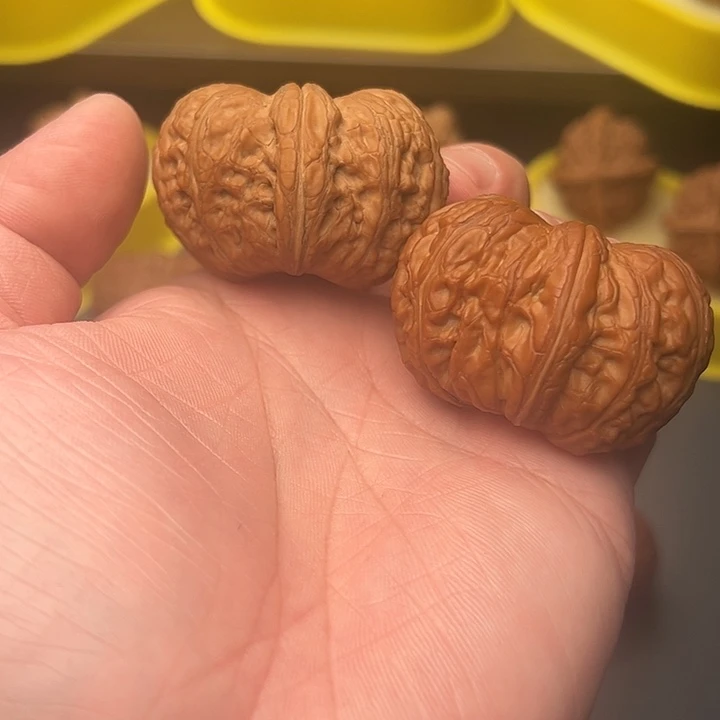 47尺精配矮桩收藏级元宝