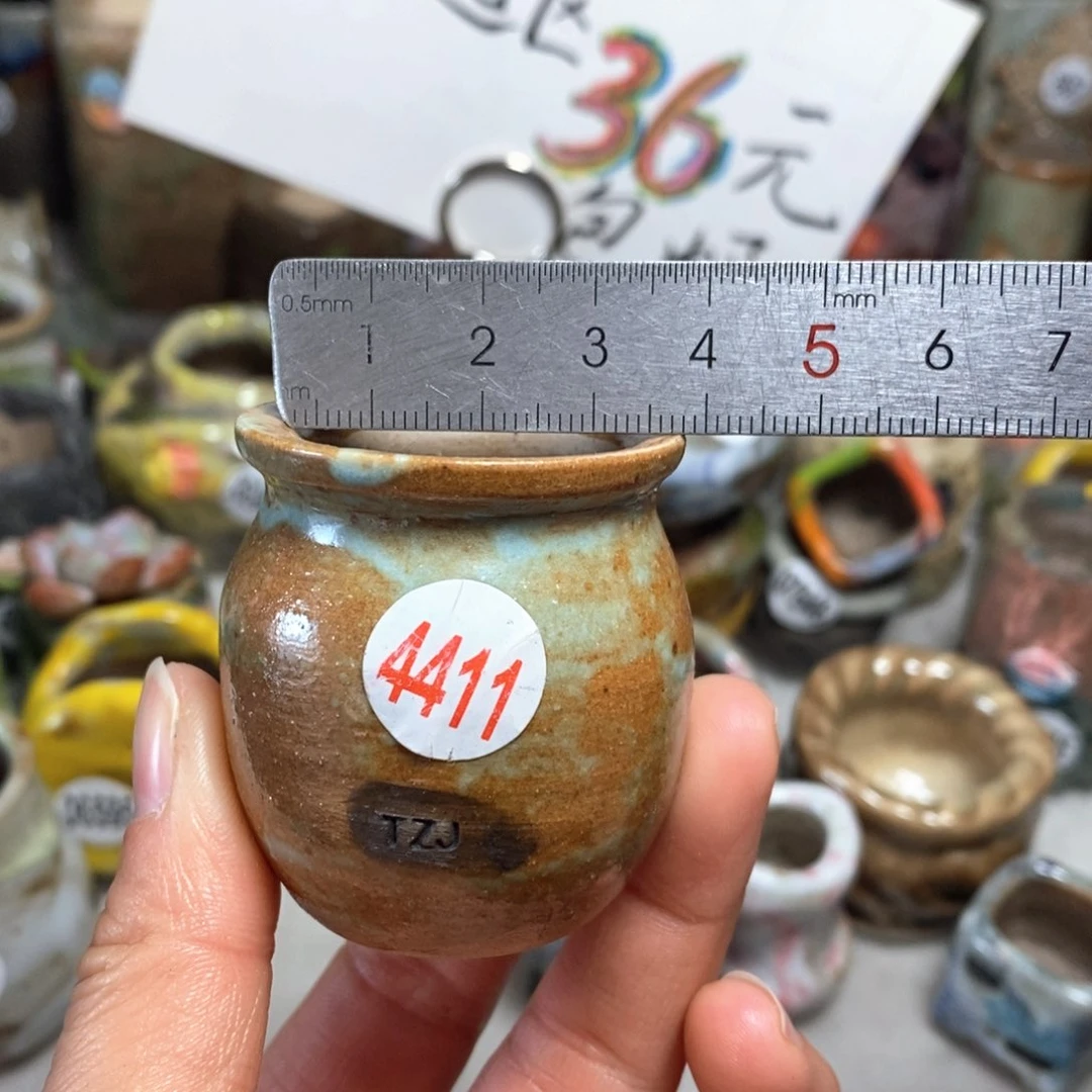 花盆拍5送一个小礼物