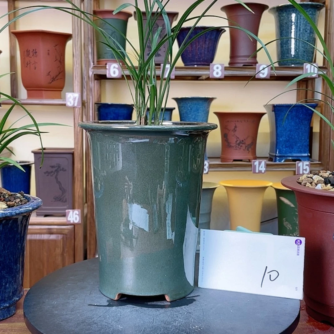 【闪购商品】紫砂花盆可***世兰花555588525588663552