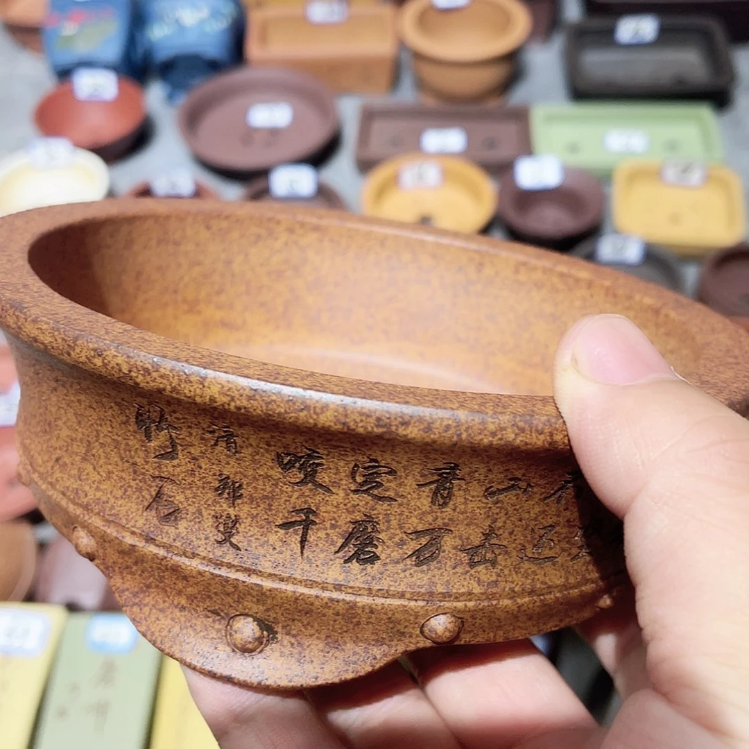 紫砂小盆12.5*3.5cmmmm