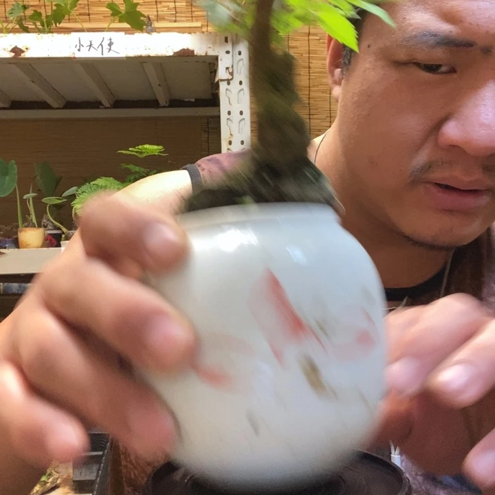 一物一拍所见即所得266