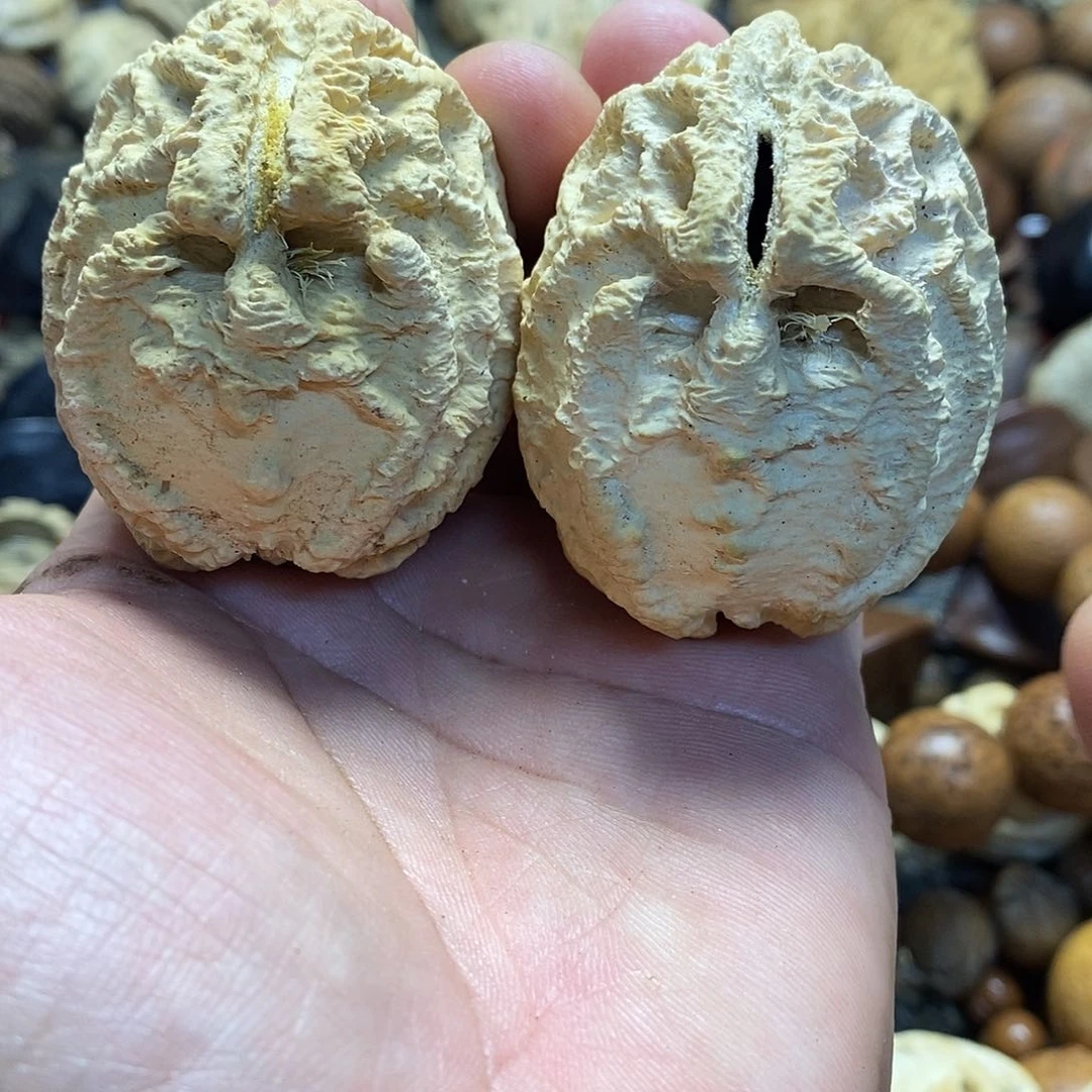 草珠菩提吊坠练手对乾坤鬼脸核桃