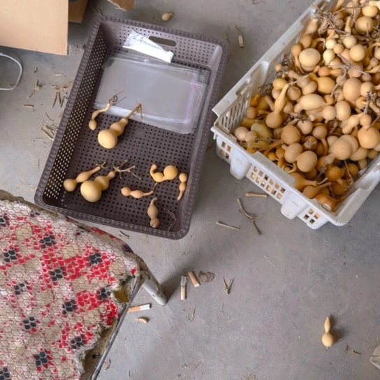 二**跑1111111111111