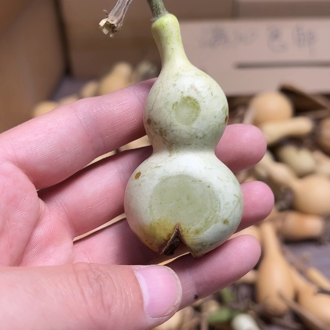 扁11111111111111111