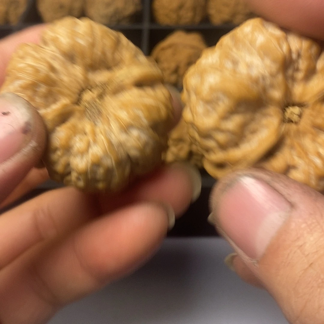 无***斗41尺寸555555555555