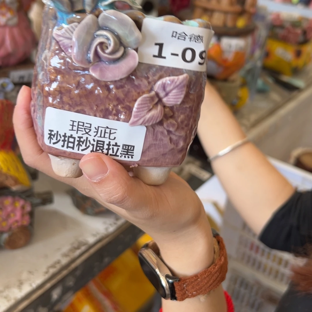多肉花盆满18.8米包邮秒退拉黑