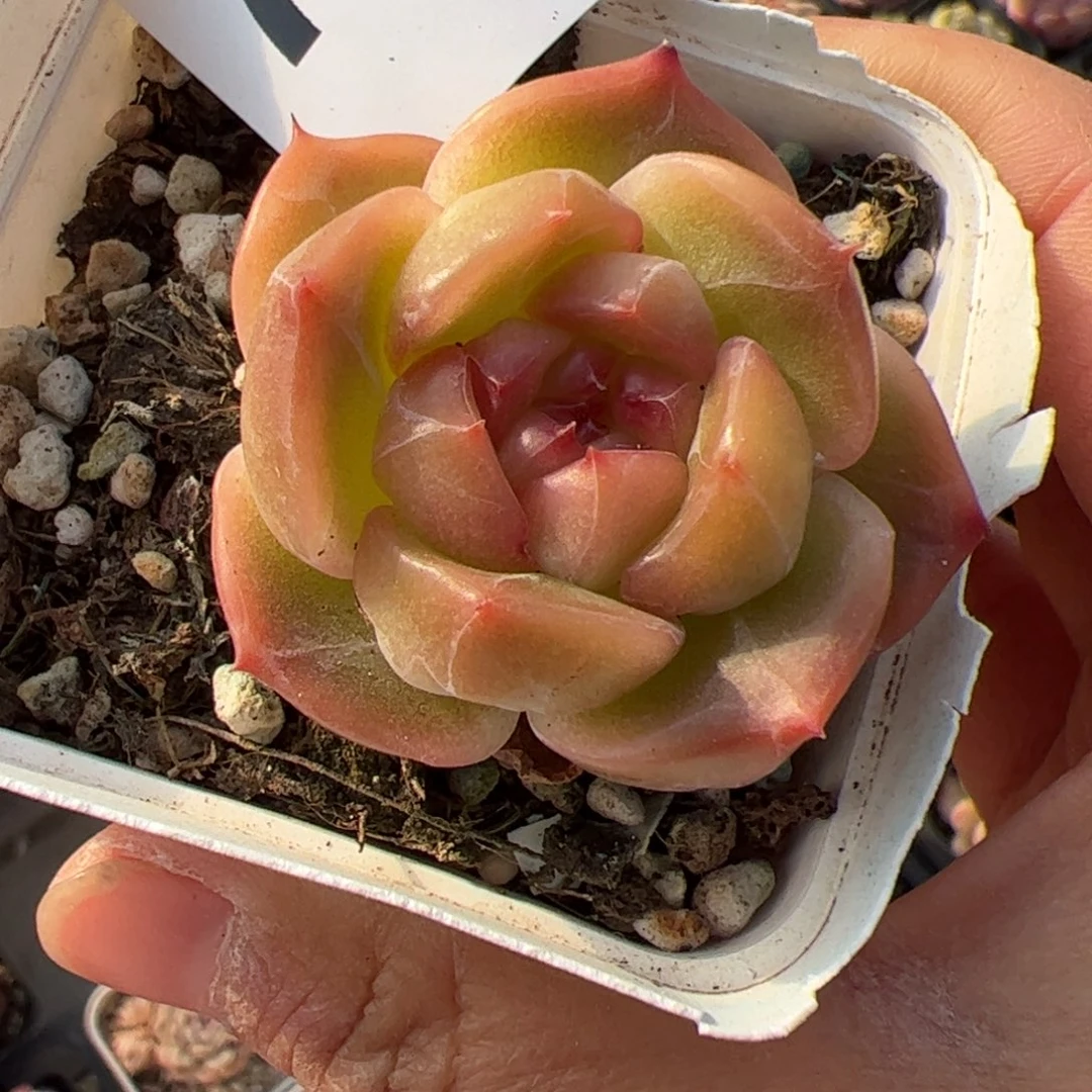 789 满38包邮一物一拍