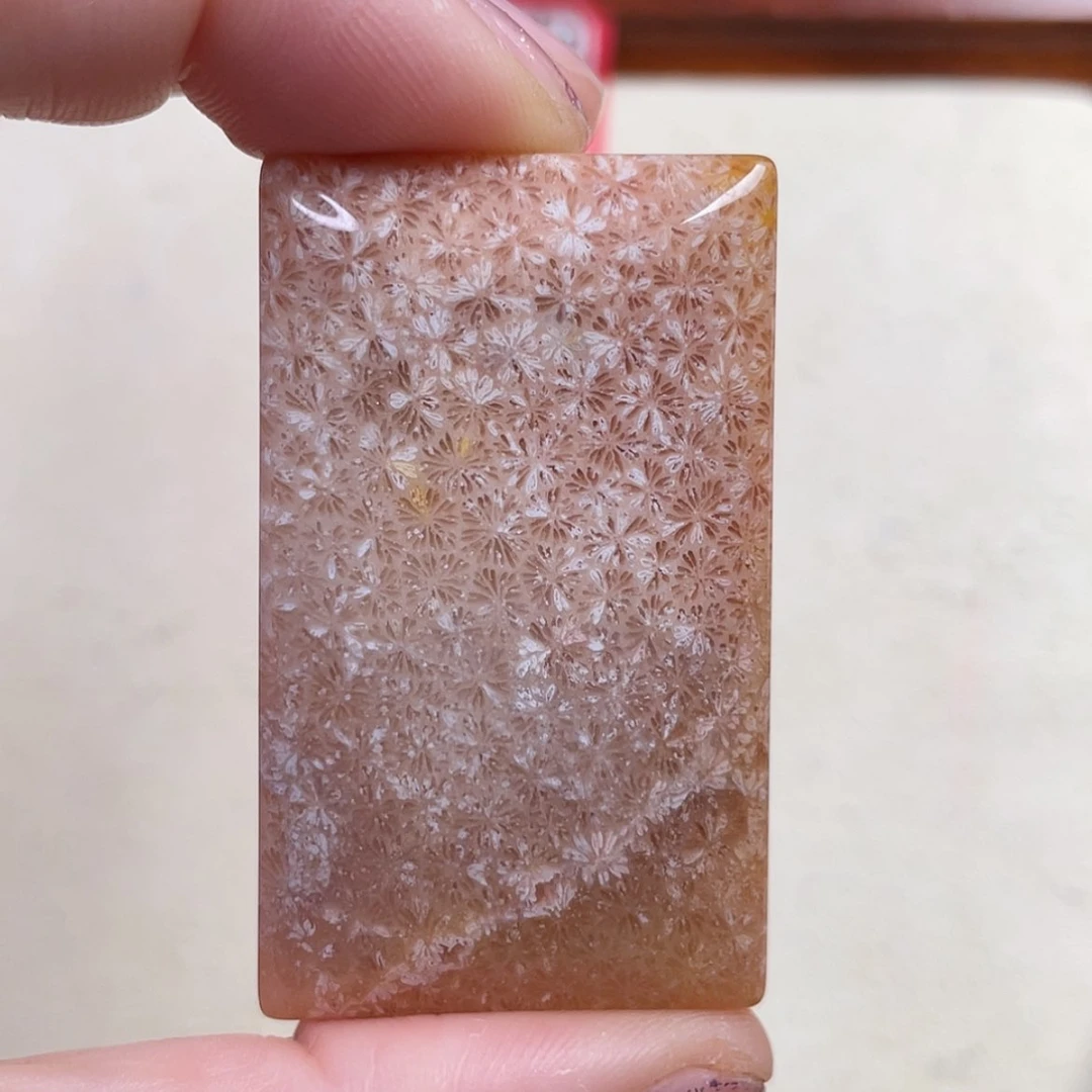 【闪购商品】硅化玉吊坠(赠链)未镶嵌