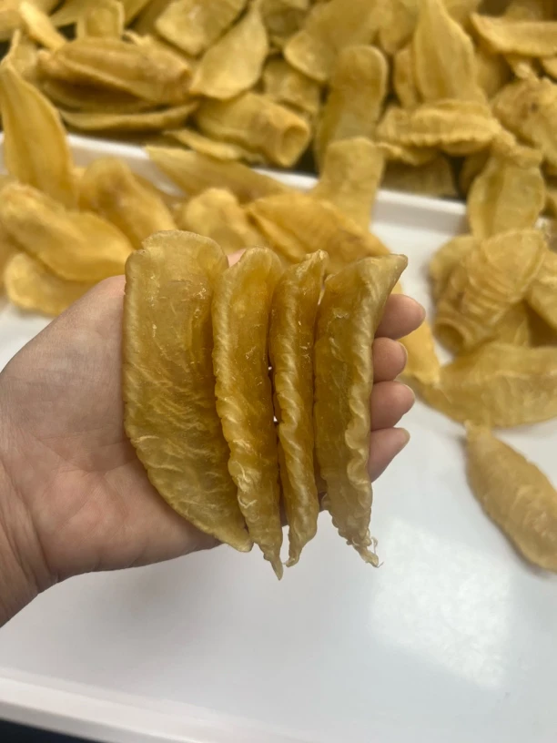 本港精选小胖子 30头