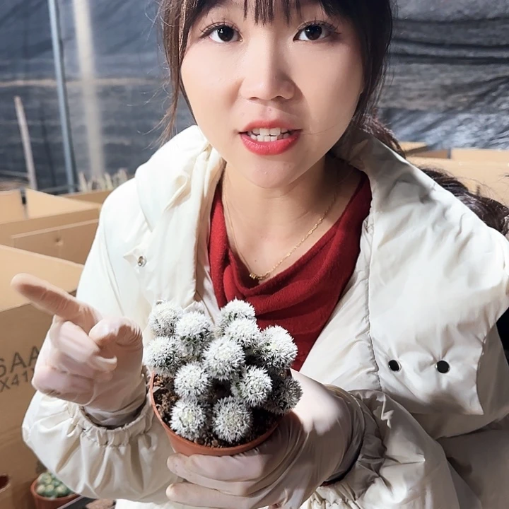 明月香姬111111111111