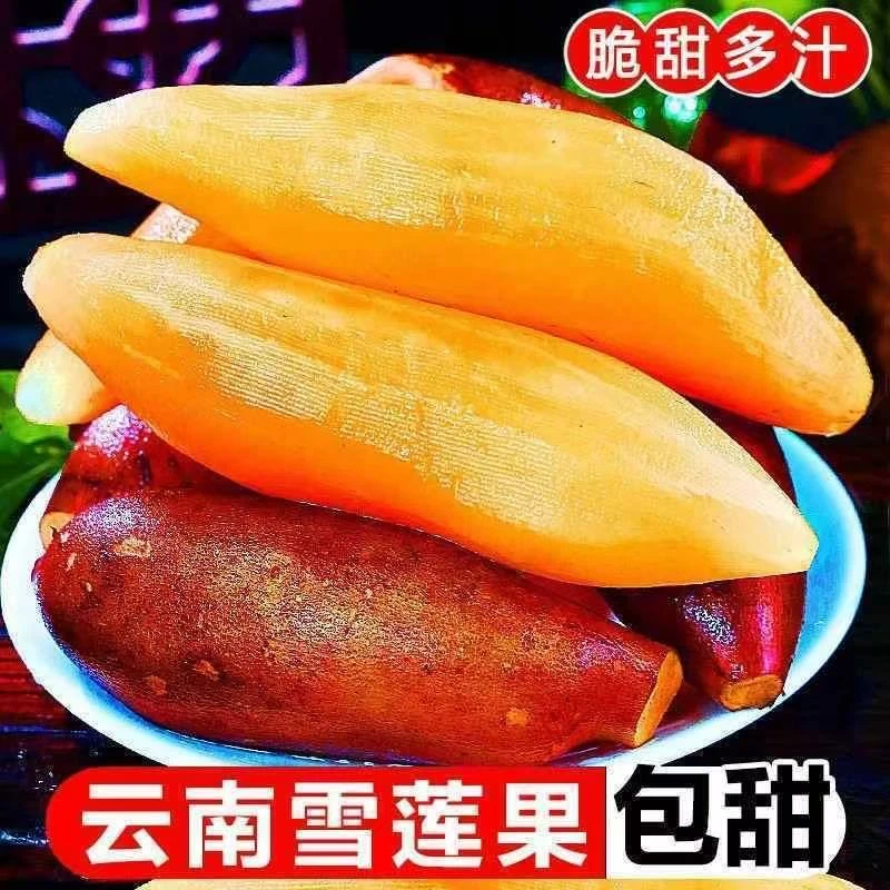 云南特产天山雪莲果红心超甜新鲜一整箱包邮现挖脆甜当季水果