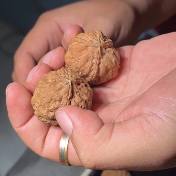 文玩核桃把件铁41号鬼头三棱