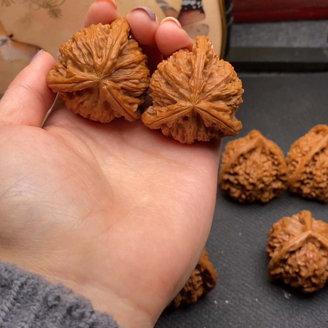 夏*冷白狮子111111111111