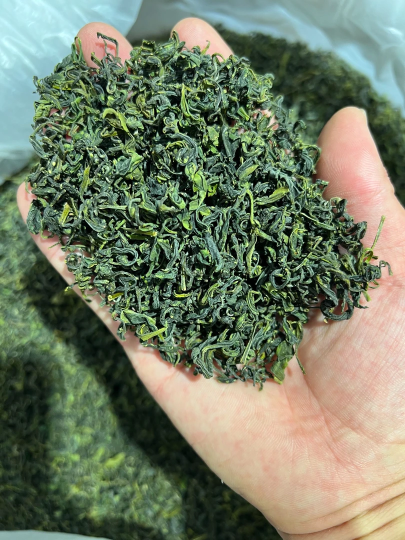 古旨   日照绿麦黄2号