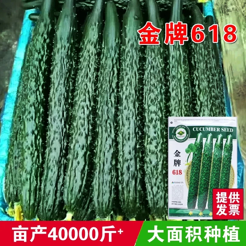 万亩齐丰金牌618荷兰黄瓜种子高产四季播蔬菜春季冬季耐寒耐低温