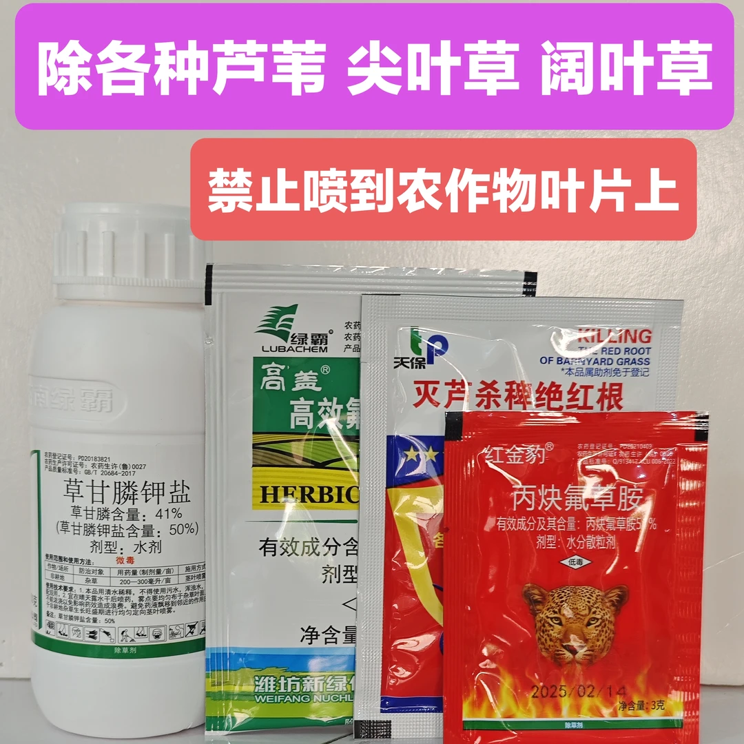 （金赞农选）快马高盖除草剂组合除芦苇茅草牛筋草等各种恶性杂草
