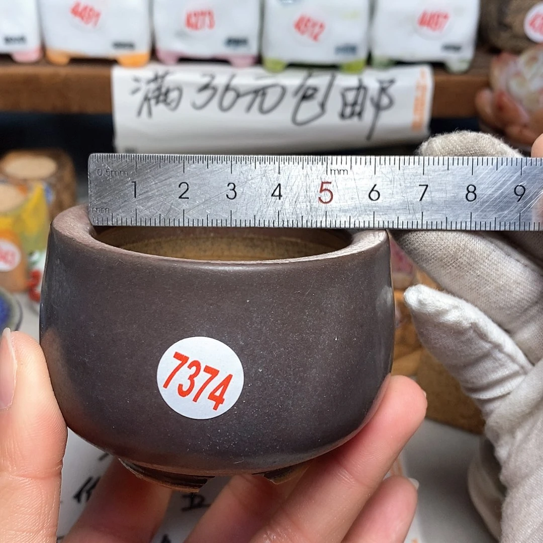 红陶拍5送一个小