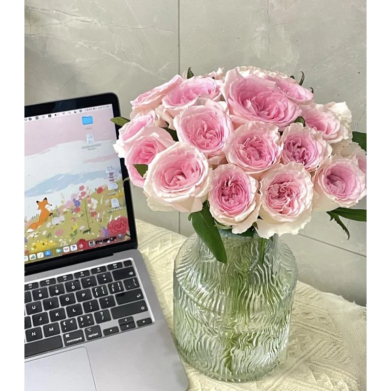 （阿楠推荐）艾莎玫瑰10支➕香槟玫瑰10支➕红玫瑰10支➕配草