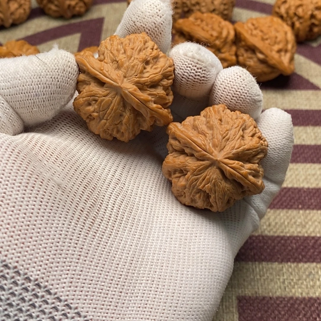 40精品毕业对大粗筋