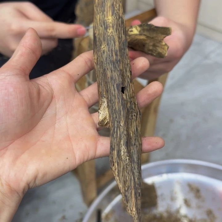 沉香碎屑沉香糖结树心油