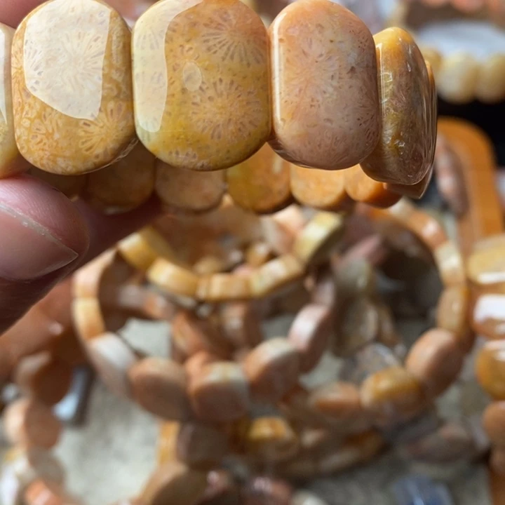 五***鱼颈饰未镶嵌硅化珊瑚（珊瑚玉）