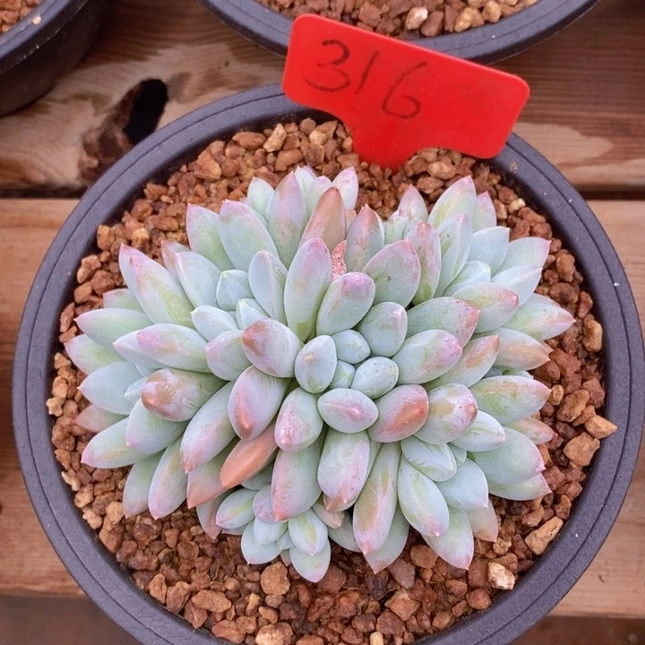 这么早还没有下班么