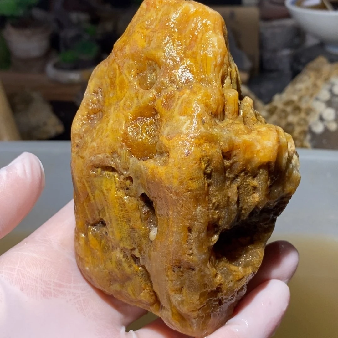 【闪购商品】硅化玉珊瑚玉未镶嵌
