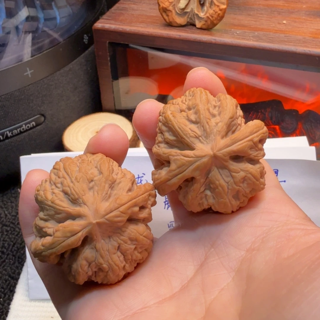 核桃41+全品平谷粗筋