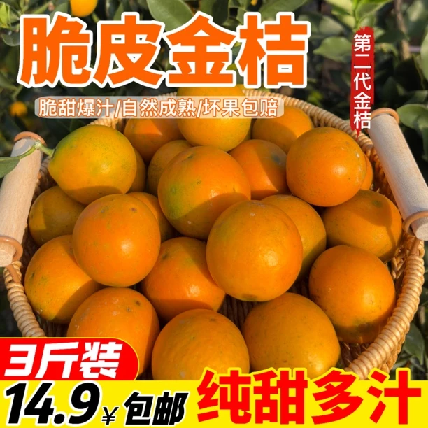 【纯甜金桔】广西融安二代脆皮金桔鲜果纯甜少籽核金桔应季新鲜水果